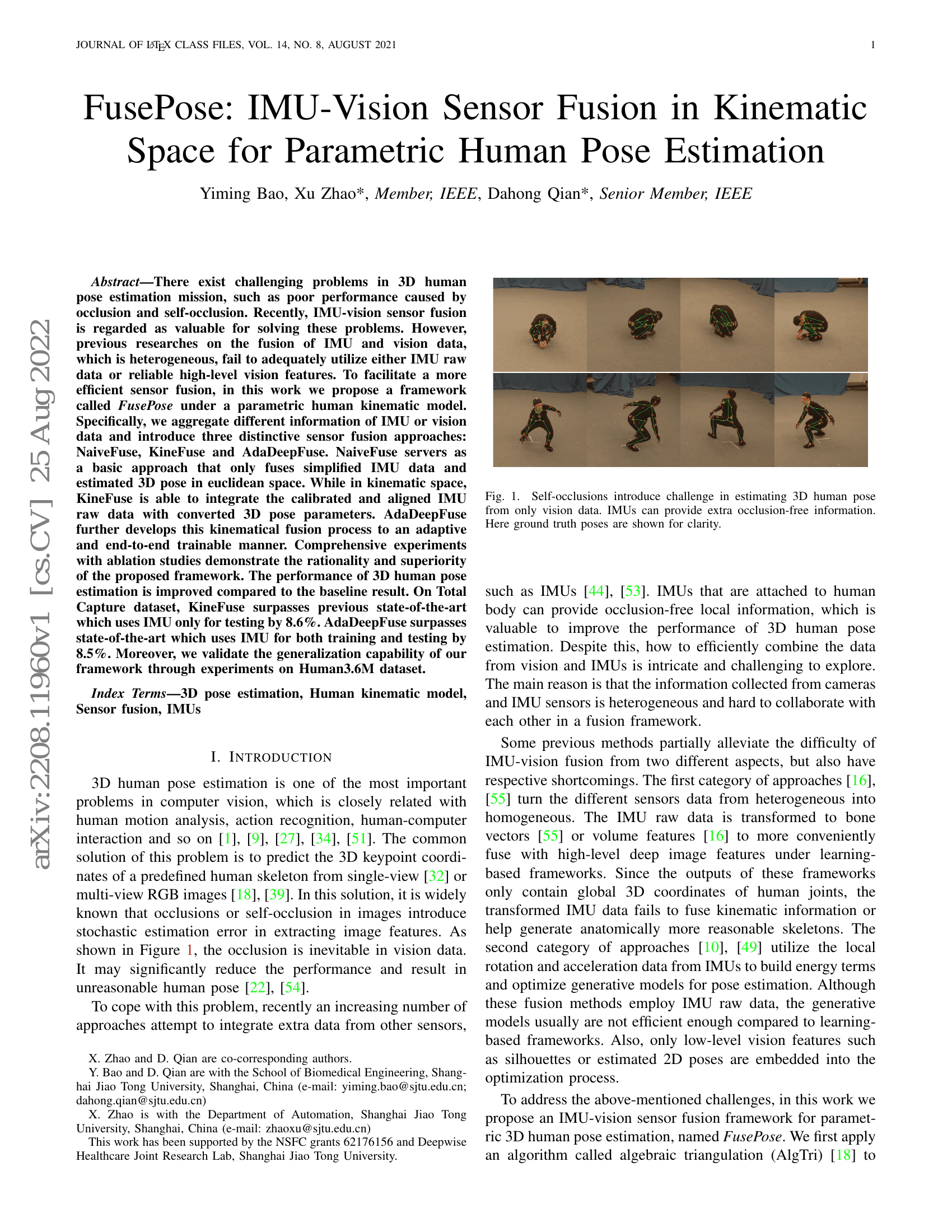 ZoomNAS: Searching for Whole-body Human Pose Estimation in the Wild
